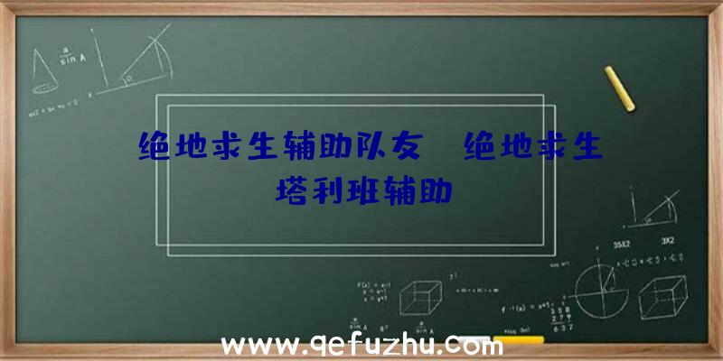 「绝地求生辅助队友」|绝地求生塔利班辅助